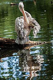 《战地2042》第5赛季7月11日限时推出24v24活动